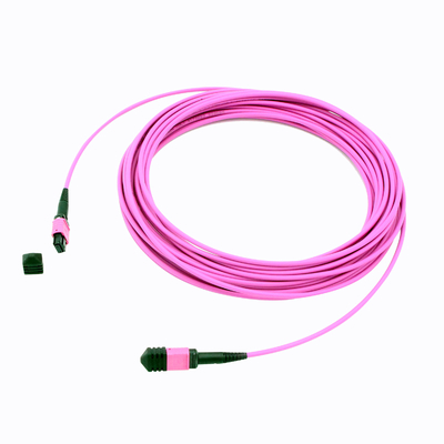 24F 40G męski kabel OM4 MPO