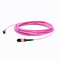 Wielomodowy kabel krosowy 12F MPO MTP Kable światłowodowe 50/125μm Om4 dla telekomunikacji